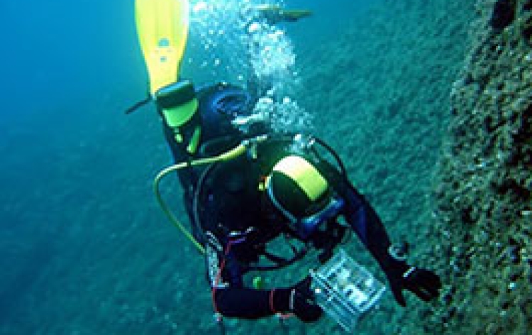 Potápanie