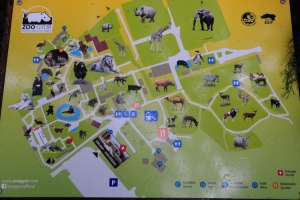 gy zoo 3