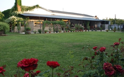 hotel plauter kuria
