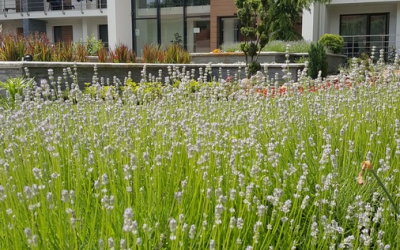 hotelaqua budova
