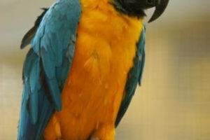 zoo-jana-xantusa-gyor-06