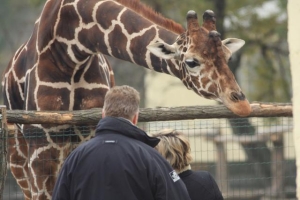 zoo-jana-xantusa-gyor-07