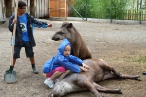 zoo3